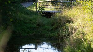 Polizei ermittelt: Koffer mit Leiche im Bach - Soko "Trolley" vor einem Rätsel