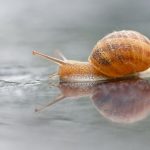 Wettervorhersage: Hin und Her beim Wetter - aber Regen wird seltener