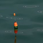 Unfälle: Angler stirbt bei Tragödie auf Möllner Stadtsee