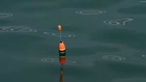 Unfälle: Angler stirbt bei Tragödie auf Möllner Stadtsee
