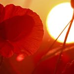 Meteorologischer Herbstanfang: Herbst beginnt mit bestem Sommerwetter