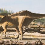 Istiorachis macarthurae: Britische Forscher entdecken neue Dinosaurier-Art mit Hautsegel