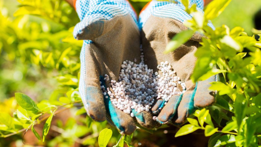 Sommersaison: 6in1 Komplett-Rasendünger für 30 Euro statt 70 Euro: Die Garten-Angebote am Montag