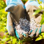 Sommersaison: 6in1 Komplett-Rasendünger für 30 Euro statt 70 Euro: Die Garten-Angebote am Montag