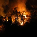 Brände in Spanien : Deutscher Feuerwehrmann: "So was habe ich noch nicht gesehen"