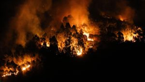 Brände in Spanien : Deutscher Feuerwehrmann: "So was habe ich noch nicht gesehen"