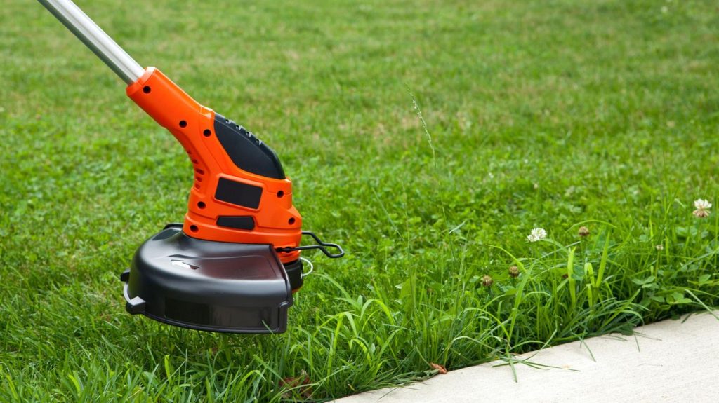 Sommersaison: Kantenschneider um 30 Prozent reduziert: Garten-Angebote am Dienstag