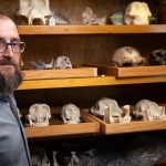 Fossilienfunde : Homo sapiens war nicht allein: Neue Entdeckung überrascht Forschende