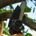 Sommersaison: WORX Akku-Einhand-Astsäge für 60 statt 100 Euro: Die Garten-Angebote am Montag