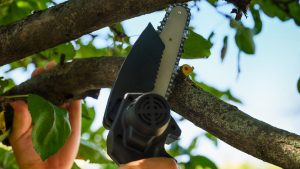 Sommersaison: WORX Akku-Einhand-Astsäge für 60 statt 100 Euro: Die Garten-Angebote am Montag