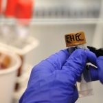 Ehec: Fünf weitere Kinder in Mecklenburg-Vorpommern mit Ehec