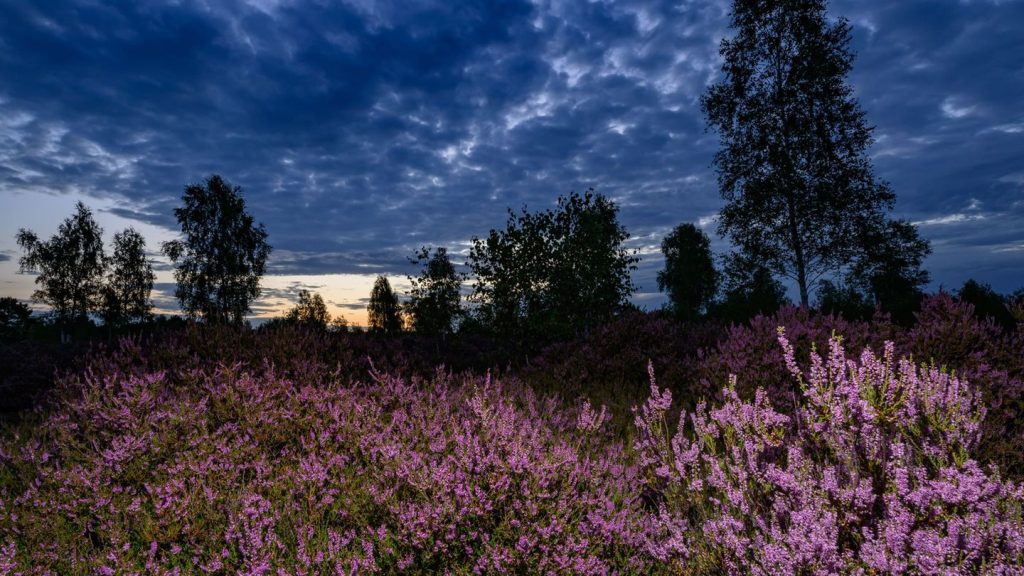 Wetter: Nach sonnigem Donnerstag ziehen Gewitter auf
