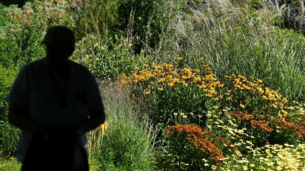 Kriminalität: Nur gucken: Über Diebstahl in Botanischen Gärten