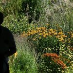 Kriminalität: Nur gucken: Über Diebstahl in Botanischen Gärten