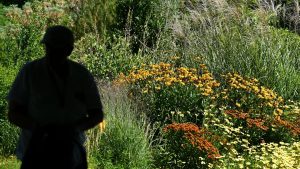 Kriminalität: Nur gucken: Über Diebstahl in Botanischen Gärten