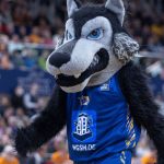 Rostocker Bundesligist: Ehrgeiziges Ziel: Basketball an jeder Schule in MV