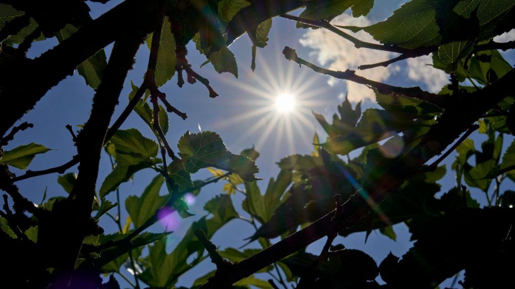 Vorhersage: Sonniges Wetter am Wochenende