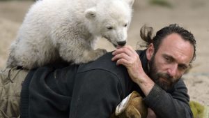 Tiergeschichte: Museumsdirektor: Hype um Eisbär Knut kaum mehr spürbar