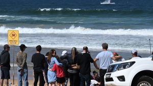 Surfbrett in Stücke gerissen: Surfer stirbt nach mutmaßlicher Hai-Attacke in Sydney
