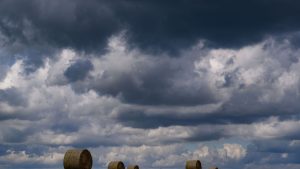 Wetter: Regen in Sicht
