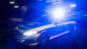 Entlaufenes Tier: Unfall mit Kuh auf Autobahn - ein Mensch verletzt