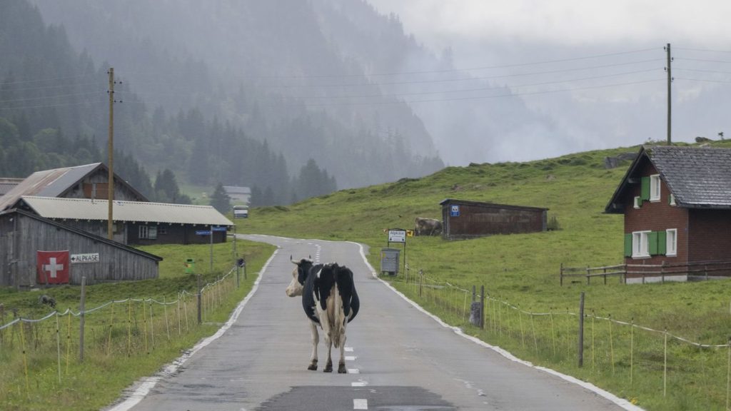 Auswandern: Wohin es deutsche Auswanderer zieht