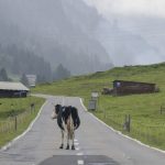 Auswandern: Wohin es deutsche Auswanderer zieht