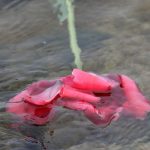 Nach dem Tod: Was das neue Bestattungsrecht erlaubt