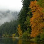 Bayerischer Wald: Die Natur im Herbst genießen