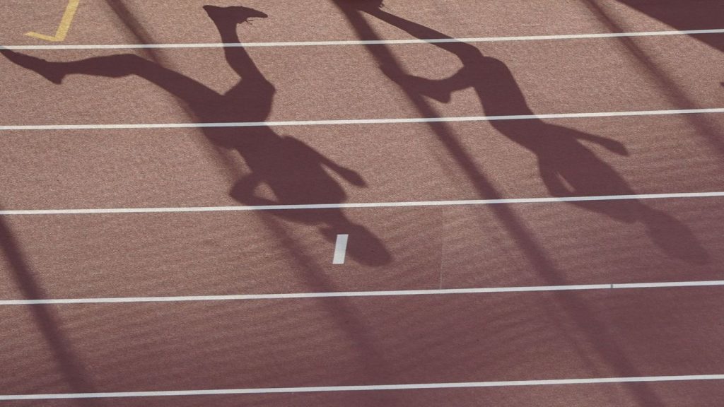 Zentrale Trainer-Datenbank?: Nach Vorwürfen gegen Trainer: Verband fordert Konsequenzen