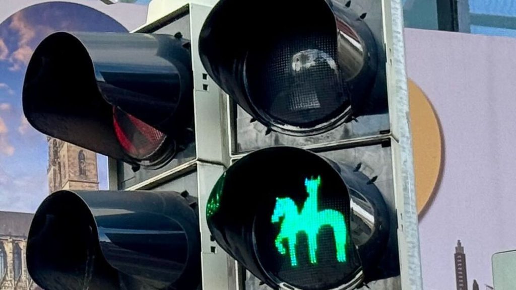 Regionale Bezüge: Ampel in Magdeburg zeigt neue Motive