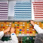 Marzipan-Hochsaison: Schon weihnachtliche Stimmung bei Niederegger in Lübeck
