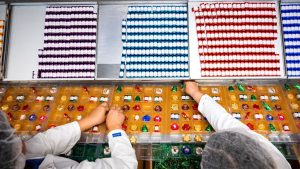Marzipan-Hochsaison: Schon weihnachtliche Stimmung bei Niederegger in Lübeck