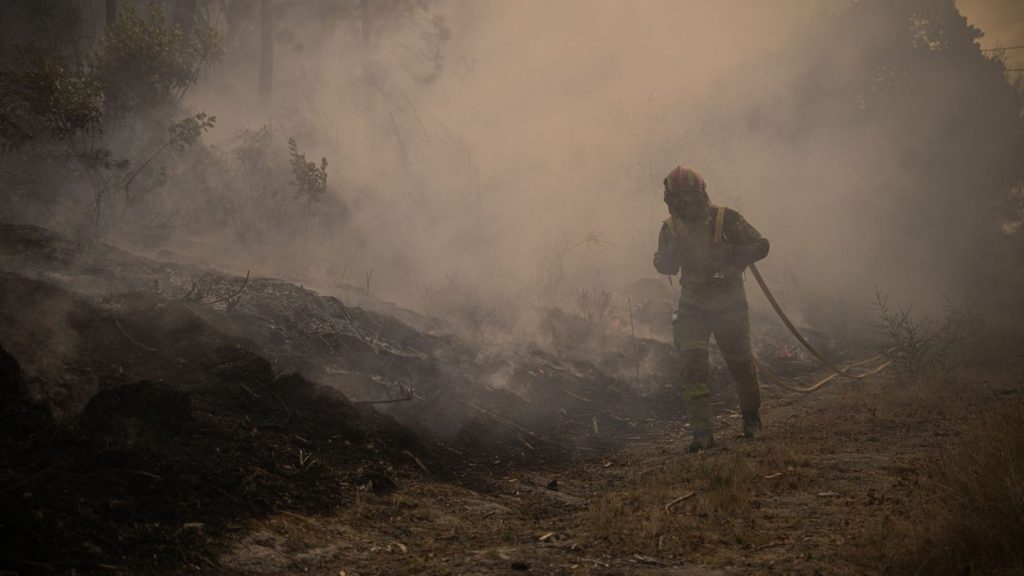 Waldbrände: Zwei 81-Jährige in Portugal wegen Brandstiftung festgenommen