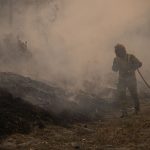 Waldbrände: Zwei 81-Jährige in Portugal wegen Brandstiftung festgenommen
