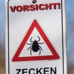 Gesundheit: Zecken-Stich: Borreliose-Fälle nehmen massiv zu