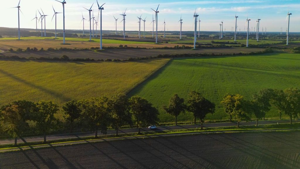 Erneuerbare Energien: Brandenburg will keinen unkontrollierten Windkraft-Ausbau