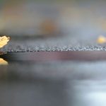 Keine Warnmeldungen: Wetter in Rheinland-Pfalz und Saarland herbstlich-kühl