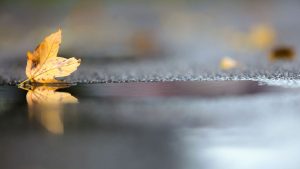 Keine Warnmeldungen: Wetter in Rheinland-Pfalz und Saarland herbstlich-kühl