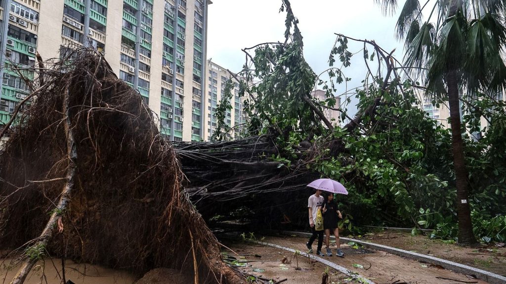 Unwetter: Nach Super-Taifun "Ragasa": Neuer Sturm im Anmarsch