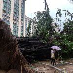 Unwetter: Nach Super-Taifun "Ragasa": Neuer Sturm im Anmarsch