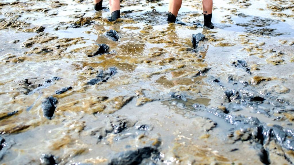 Landkreis Aurich: Tourist sinkt hüfttief in Wattenmeer-Schlick ein