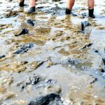 Landkreis Aurich: Tourist sinkt hüfttief in Wattenmeer-Schlick ein