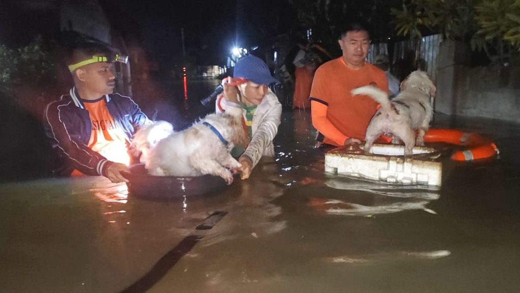 Unwetter: Taifun "Bualoi" trifft auf Philippinen - Tausende evakuiert
