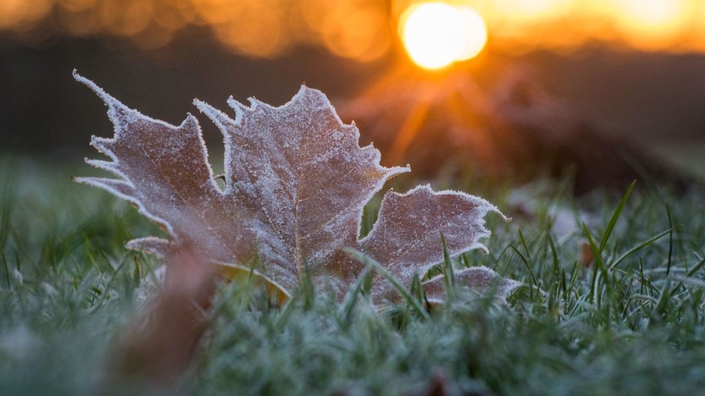 Wetter: Sonne und Wolken im Osten – Bodenfrost zum Wochenbeginn