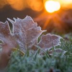 Wetter: Sonne und Wolken im Osten – Bodenfrost zum Wochenbeginn