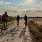 Freizeit: Fahrrad-Club ADFC: Gravelbike-Trend wächst im Freistaat