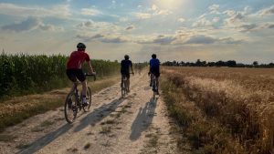 Freizeit: Fahrrad-Club ADFC: Gravelbike-Trend wächst im Freistaat
