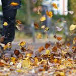 Umwelt und Lärm: Zürich stimmt über strenge Laubbläser-Regeln ab