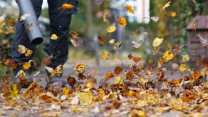Umwelt und Lärm: Zürich stimmt über strenge Laubbläser-Regeln ab